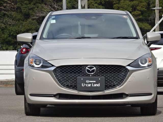 �O�����L���C�ł����ڗ������L�Y�������Ǝv���܂��A�����x���q�l�̌������ڂł��m�F���������I