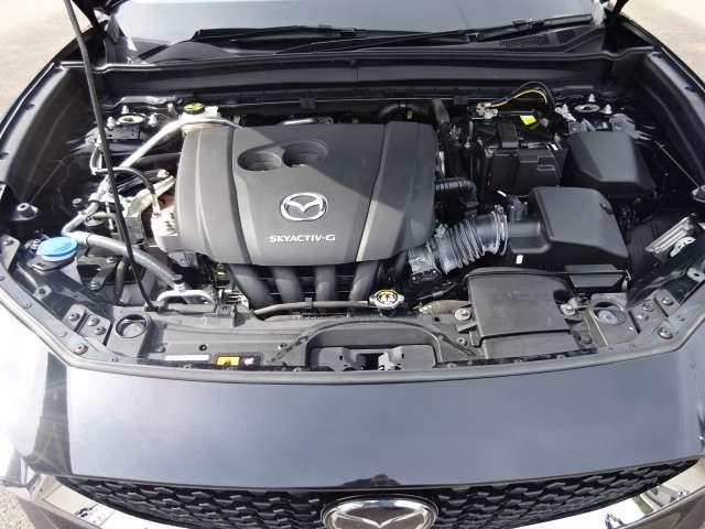 �G���W�����[���̗l�q�ł��B�G���W�����[�����L���C�ł��ƁA�s����̔��������Ղ��A�R���f�B�V�����̃`�F�b�N��ێ��̖ʂłƂ��Ă��v���X�ł��I����ɓ��X�ł������萮�����Ă��[�Ԃ��܂��̂ň��S�ł��I