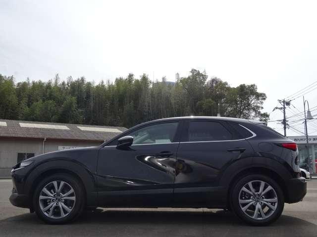 �C�������������܂���I��؂ɏ���Ă������ł��B���񂱂ꂩ����L���C�ɑ�؂ɂ���蒸�������v���܂��I