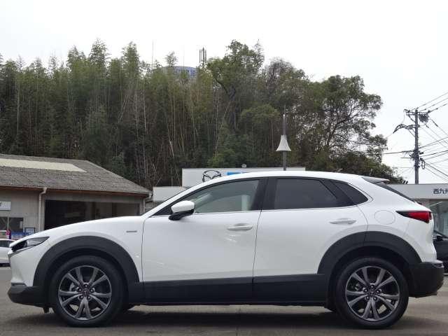 �y���J���Ď���̉��A�i�F�A����������Ȃ���h���C�u�����y���݂��������I�����ɍʂ��^���Ă����P��ł��I