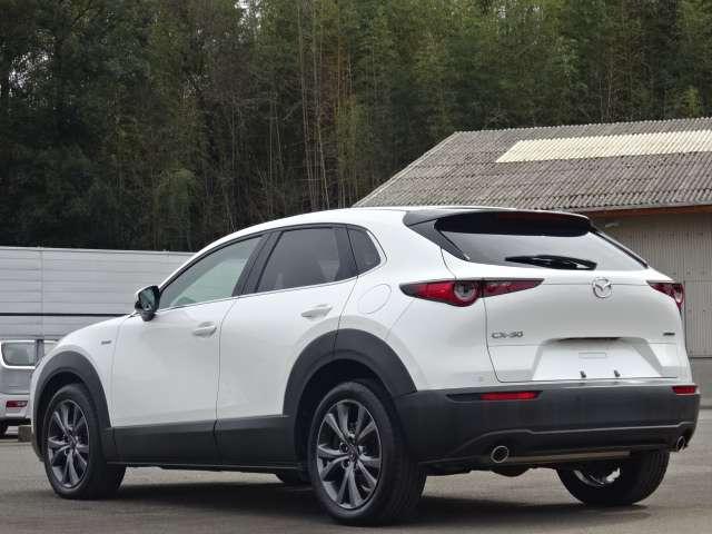 �_��������̂��[�Ԃł��̂ň��S���Ă��I�т��������B���ЍH�ꊮ���I