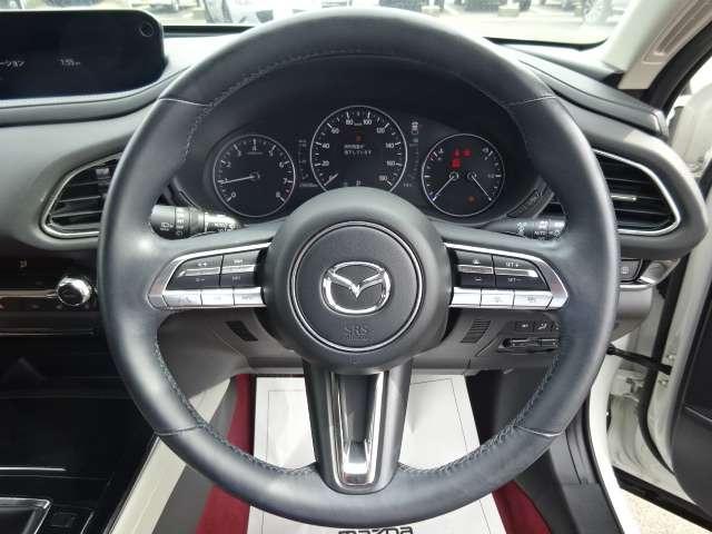 �N���[�Y�R���g���[���t���Ȃ̂ō������ł̔��������ƒጸ�ł��邩������܂���B