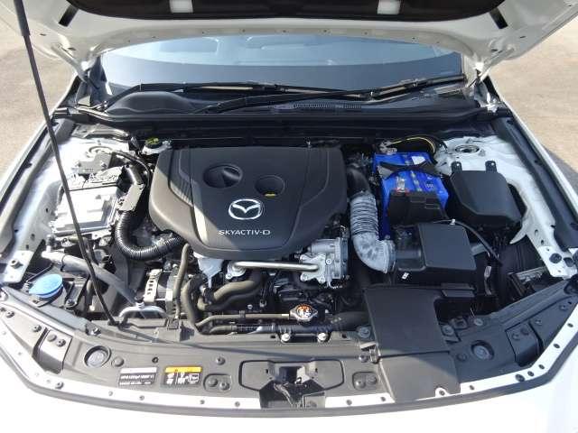 �G���W�����[���̗l�q�ł��B�G���W�����[�����L���C�ł��ƁA�s����̔��������Ղ��A�R���f�B�V�����̃`�F�b�N��ێ��̖ʂłƂ��Ă��v���X�ł��I����ɓ��X�ł������萮�����Ă��[�Ԃ��܂��̂ň��S�ł��I