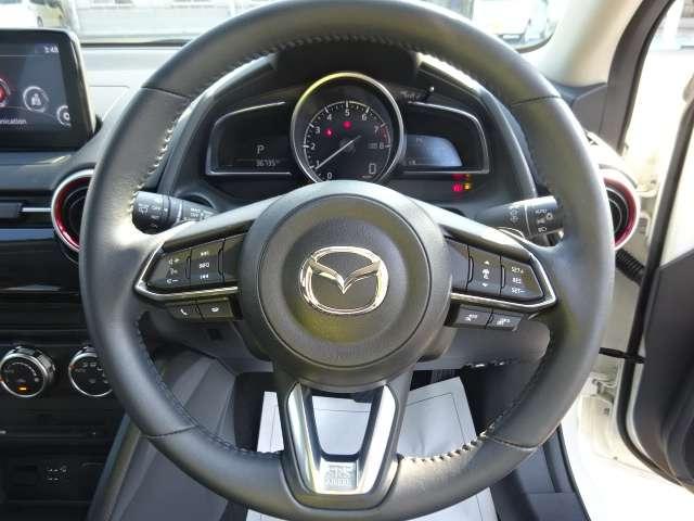 �N���[�Y�R���g���[���t���Ȃ̂ō������ł̔��������ƒጸ�ł��邩������܂���B