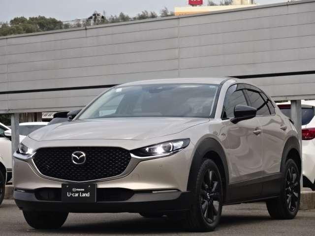 �Ԃɏ�邽�߂ɒ��ԏ�֍s���ƁA���̎p���҂��Ă���E�E�E���z�̊����Ǝv���܂��B