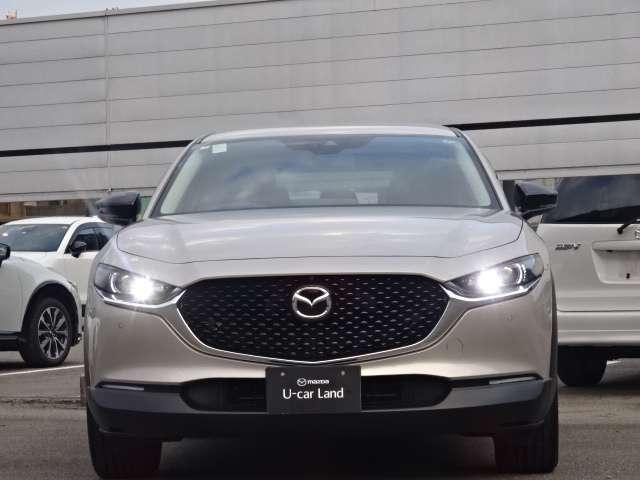 �y�k�d�c�w�b�h���C�g�z�n���Q�����C�g��肸���Ɩ��邭�X�ɏȃG�l�Œ������Ƃ������Ƃ΂���̃��C�g�ł���