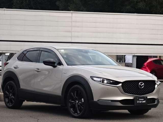 �O�����L���C�ł����ڗ������L�Y�������Ǝv���܂��A�����x���q�l�̌������ڂł��m�F���������I