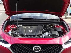 ���󥸥�롼����ͻҤǤ������󥸥�롼�ब���쥤�Ǥ��ȡ��Զ������ȯ���⤷�פ�������ǥ������Υ����å���ݻ����̤ǤȤäƤ�ץ饹�Ǥ����������Ź�Ǥ��ä����������Ƥ�Ǽ�֤��ޤ��Τǰ¿��Ǥ��� 5