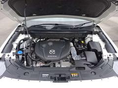 ���󥸥�롼����ͻҤǤ������󥸥�롼�ब���쥤�Ǥ��ȡ��Զ������ȯ���⤷�פ�������ǥ������Υ����å���ݻ����̤ǤȤäƤ�ץ饹�Ǥ����������Ź�Ǥ��ä����������Ƥ�Ǽ�֤��ޤ��Τǰ¿��Ǥ��� 4