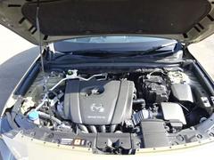 ���󥸥�롼����ͻҤǤ������󥸥�롼�ब���쥤�Ǥ��ȡ��Զ������ȯ���⤷�פ�������ǥ������Υ����å���ݻ����̤ǤȤäƤ�ץ饹�Ǥ�����Ź���������Ƥ�Ǽ�֤��ޤ��Τǰ¿��Ǥ��� 5