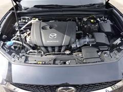 ���󥸥�롼����ͻҤǤ������󥸥�롼�ब���쥤�Ǥ��ȡ��Զ������ȯ���⤷�פ�������ǥ������Υ����å���ݻ����̤ǤȤäƤ�ץ饹�Ǥ����������Ź�Ǥ��ä����������Ƥ�Ǽ�֤��ޤ��Τǰ¿��Ǥ��� 5