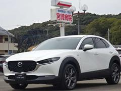 �֤˾�뤿�����־�عԤ��ȡ����λѤ��ԤäƤ��롦�������ۤδĶ����Ȼפ��ޤ��� 6