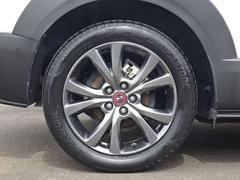 �����Υ���ߥۥ����롪��������ǯ���̵�ǰ�Υ�������Ǥ��� 7