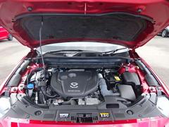 ���󥸥�롼����ͻҤǤ������󥸥�롼�ब���쥤�Ǥ��ȡ��Զ������ȯ���⤷�פ�������ǥ������Υ����å���ݻ����̤ǤȤäƤ�ץ饹�Ǥ����������Ź�Ǥ��ä����������Ƥ�Ǽ�֤��ޤ��Τǰ¿��Ǥ��� 5