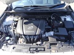 ���󥸥�롼����ͻҤǤ������󥸥�롼�ब���쥤�Ǥ��ȡ��Զ������ȯ���⤷�פ�������ǥ������Υ����å���ݻ����̤ǤȤäƤ�ץ饹�Ǥ����������Ź�Ǥ��ä����������Ƥ�Ǽ�֤��ޤ��Τǰ¿��Ǥ��� 5