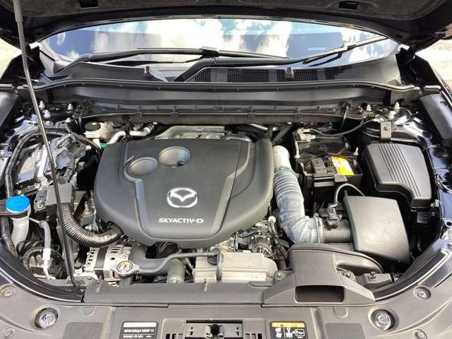 �G���W�����[���̗l�q�ł��B�G���W�����[�����L���C�ł��ƁA�s����̔��������Ղ��A�R���f�B�V�����̃`�F�b�N��ێ��̖ʂłƂ��Ă��v���X�ł��I���X�Ő������Ă��[�Ԃ��܂��̂ň��S�ł��I