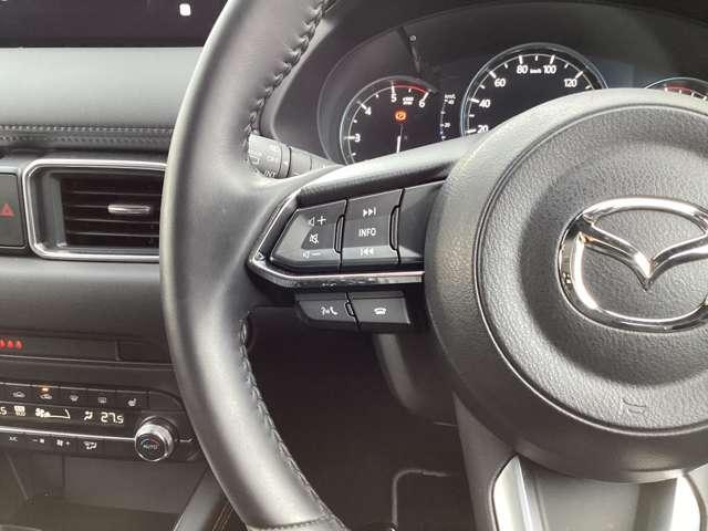 �X�e�A�����O���ɂ́A�I�[�f�B�I��a�����������������t�H���A���������R�}���h�Ȃǂ̃{�^�����L��܂��B