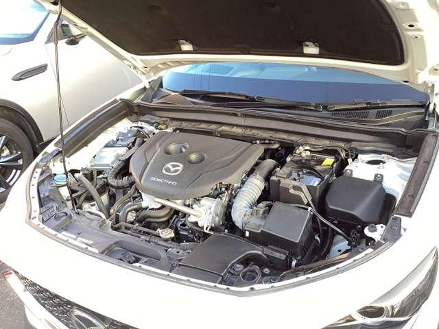 �G���W�����[���̗l�q�ł��B�G���W�����[�����L���C�ł��ƁA�s����̔��������Ղ��A�R���f�B�V�����̃`�F�b�N��ێ��̖ʂłƂ��Ă��v���X�ł��I���X�Ő������Ă��[�Ԃ��܂��̂ň��S�ł��I