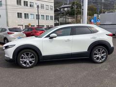 ���֥��硼�롼�ࡢ�����ӥ����줬ʻ�ߤ���Ƥ�����ż�Ÿ����Ǥ��Τǡ��ɥ饤�֤��Ƥ�������٤���Ź�������� 5