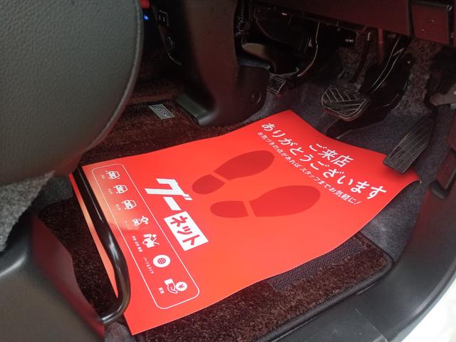 スペーシアカスタム ハイブリッドＸＳターボ　全周囲カメラ　両側電動スライドドア　ナビ　ＴＶ　クリアランスソナー　オートクルーズコントロール　レーンアシスト　衝突被害軽減システム　オートライト　ＬＥＤヘッドランプ　スマートキー（57枚目）