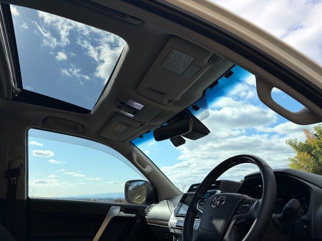 ランドクルーザープラド TX Lパッケージ マットブラックエディション ★新車ワンオーナー・サンルーフ・本革シート・シートヒーター・ALPINEナビ・ドラレコ・Bluetooth・ETC(67枚目)
