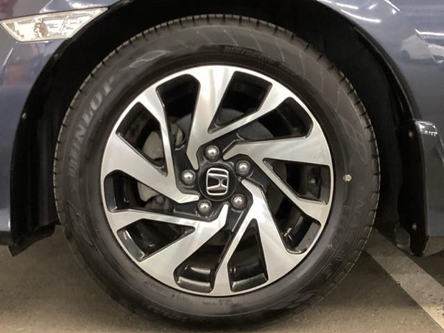 �J�b�R�C�C�A�y�A���~�z�C�[���z�ő��������܂��Ă�I