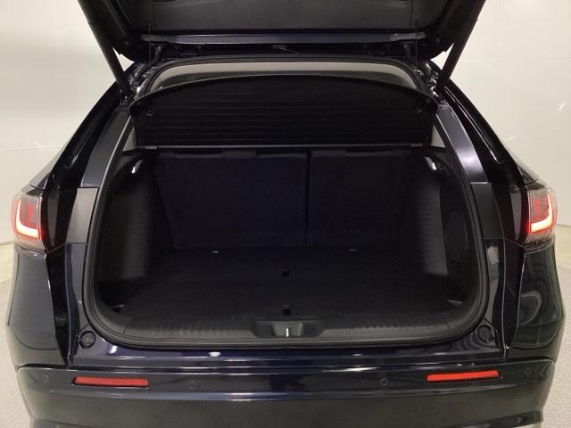 ����ȃe�[���Q�[�g�ł��B���L�A�Ⴂ���ʂő傫�ȉו��̏o�����ꂪ�ȒP�ɂȂ�܂��B