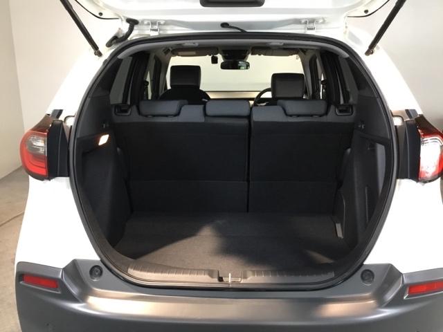 �R���p�N�g�{�f�B�[�Ȃ̂ɁA�׎��͂���ȂɍL�X�I��������ו����ς߂܂���B