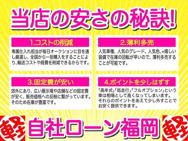 Ｇ　／ナビ／ＴＶ／片側電動スライド・ドア／両側スライド・ドア／スマートキー／プッシュスタート／盗難防止／ＣＤデッキ／タイミングチェーン(17枚目)