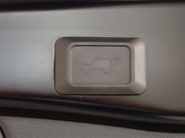 ＲＡＶ４ ハイブリッドＧ　衝突被害軽減装置　テレビ　ワンオーナ－　バックモニター　整備記録簿　地デジＴＶ　ＬＥＤヘッドライト　スマキー　電動シ－ト　ＡＷＤ　パワステ　横滑り防止装置　クルコン　ＡＡＣ　カーテンエアバック　ＡＷ（9枚目）