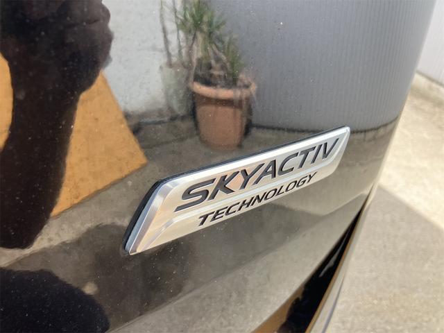 ビアンテ グランツ－スカイアクティブ　ＥＴＣ　バックカメラ　ナビ　ＴＶ　フリップダウンモニター　両側電動スライドドア　ＨＩＤ　スマートキー　アイドリングストップ　電動格納ミラー　３列シート　　ＤＶＤ再生　盗難防止システム　衝突安全ボディ（26枚目）