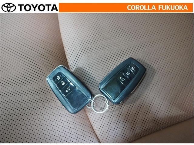 ランドクルーザープラド TX Lパッケージ 70thアニバーサリーリミテッド 衝突被害軽減システム サンルーフ 4WD メモリーナビ フルセグ ETC バックカメラ キーレス スマートキー 盗難防止装置(33枚目)