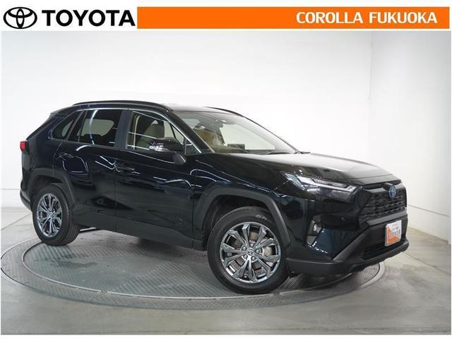 ＲＡＶ４ ハイブリッドＸ　衝突被害軽減システム　フルセグ　ＥＴＣ　バックカメラ　キーレス　スマートキー　盗難防止装置（10枚目）