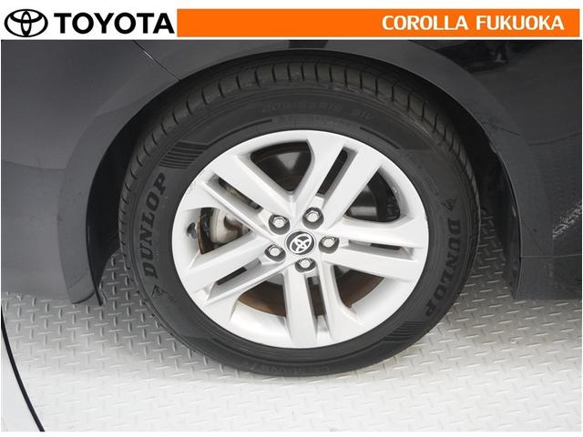 ���q�l�̃J�[���C�t���T�|�[�g�I���S�A���S�����b�g�[�ɁA���̂��Ԃ̔[�Ԏ��ɂ̓^�C�����S�{�V�i�����������܂��B