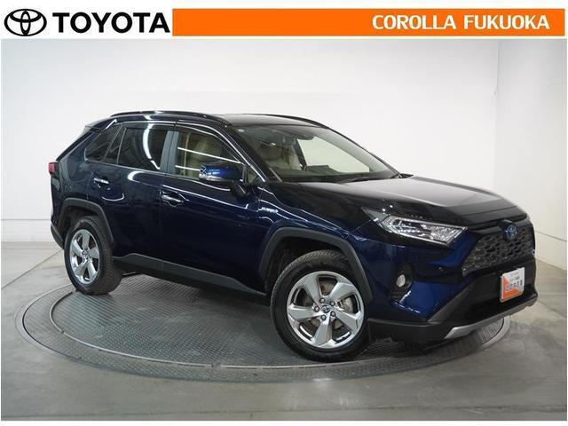 ＲＡＶ４ ハイブリッドＧ　衝突被害軽減システム　４ＷＤ　メモリーナビ　フルセグ　ＥＴＣ　バックカメラ　ＣＤ　ＤＶＤ再生　キーレス　スマートキー　盗難防止装置（10枚目）