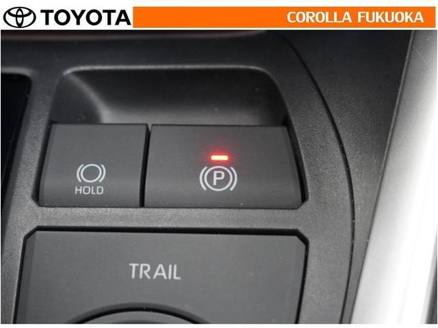 ＲＡＶ４ ハイブリッドＧ　衝突被害軽減システム　４ＷＤ　メモリーナビ　フルセグ　ＥＴＣ　バックカメラ　ＣＤ　ＤＶＤ再生　キーレス　スマートキー　盗難防止装置（29枚目）