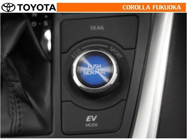 ＲＡＶ４ ハイブリッドＧ　衝突被害軽減システム　４ＷＤ　メモリーナビ　フルセグ　ＥＴＣ　バックカメラ　ＣＤ　ＤＶＤ再生　キーレス　スマートキー　盗難防止装置（30枚目）