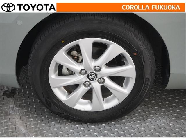 ���q�l�̃J�[���C�t���T�|�[�g�I���S�A���S�����b�g�[�ɁA���̂��Ԃ̔[�Ԏ��ɂ̓^�C�����S�{�V�i�����������܂��B