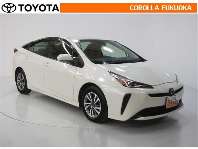 ������������S�I�����̓J���[�������T�[�r�X�F�؍H��ɂ��C�����������B