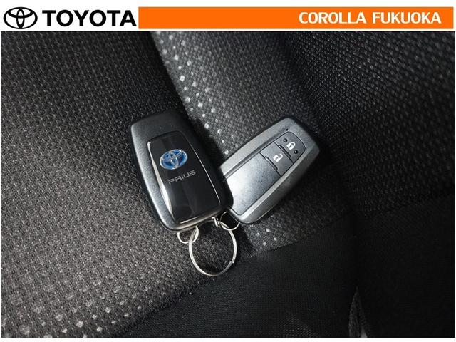 �g���^�J���[�������i���j�̍݌ɂ��������������L��������܂��B����Ƃ��������̒��A�X�������肢�\���グ�܂��B