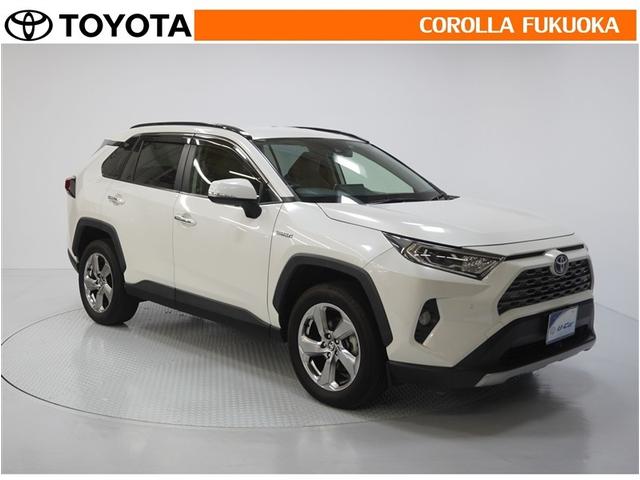 ＲＡＶ４ ハイブリッドＧ　衝突被害軽減システム　４ＷＤ　メモリーナビ　フルセグ　ＥＴＣ　バックカメラ　ドラレコ　ＣＤ　ＤＶＤ再生　キーレス　スマートキー　盗難防止装置（9枚目）