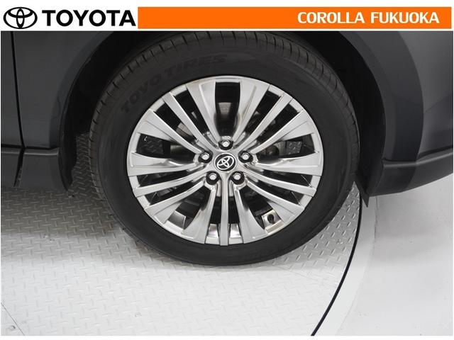 �y���ȑ��������o����A���~�z�C�[���A�P�Ȃ�h���X�A�b�v�ł͂Ȃ������ƌy�ʉ��Ń��������N��̋C�����������܂��B