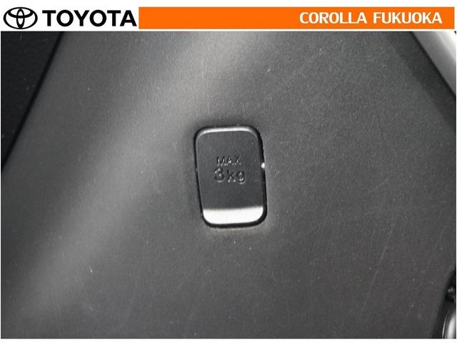 ルーミー G コージーエディション 衝突被害軽減システム 両側電動スライド メモリーナビ フルセグ ETC バックカメラ 後席モニター CD DVD再生 キーレス スマートキー アイドリングストップ 盗難防止装置(28枚目)