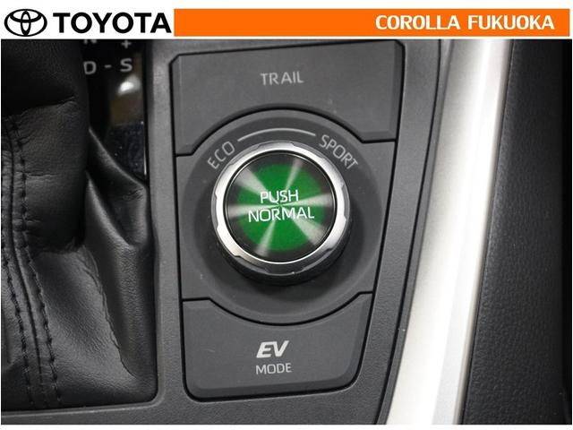 �J���Ȃǂ̊���₷���H�ʁA�͂̂���I�t���[�h���s�ɂ��K�����܂��B