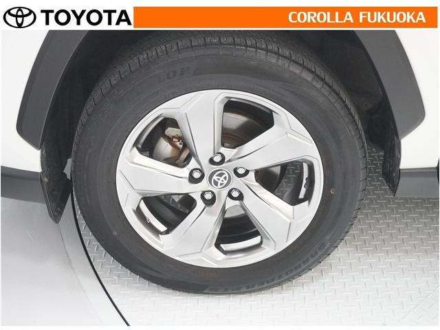 ���q�l�̃J�[���C�t���T�|�[�g�I���S�A���S�����b�g�[�ɁA���̂��Ԃ̔[�Ԏ��ɂ̓^�C�����S�{�V�i�����������܂��B