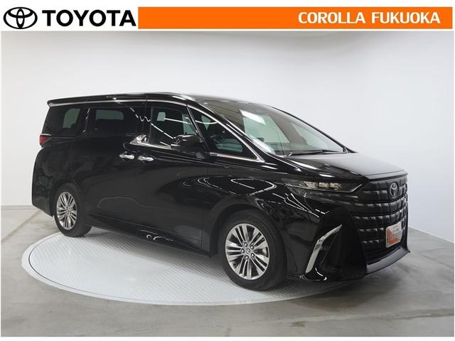 アルファード Z 衝突被害軽減システム 両側電動スライド メモリーナビ フルセグ ETC バックカメラ 後席モニター キーレス スマートキー 盗難防止装置(10枚目)