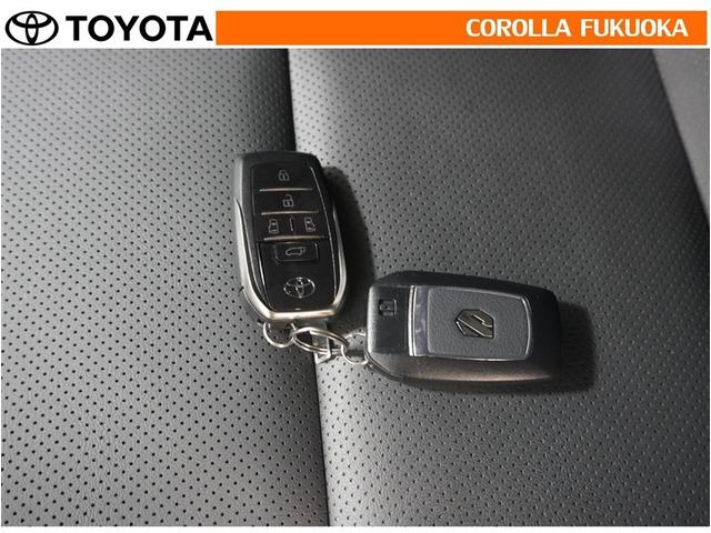 アルファード Z 衝突被害軽減システム 両側電動スライド メモリーナビ フルセグ ETC バックカメラ 後席モニター キーレス スマートキー 盗難防止装置(36枚目)