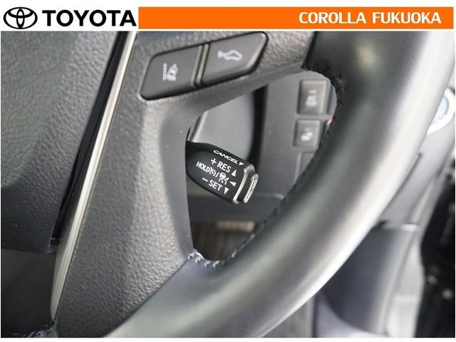 アルファードハイブリッド ＳＲ　Ｃパッケージ　衝突被害軽減システム　サンルーフ　４ＷＤ　両側電動スライド　メモリーナビ　フルセグ　ＥＴＣ　バックカメラ　ドラレコ　後席モニター　ＣＤ　ＤＶＤ再生　キーレス　スマートキー　盗難防止装置（23枚目）