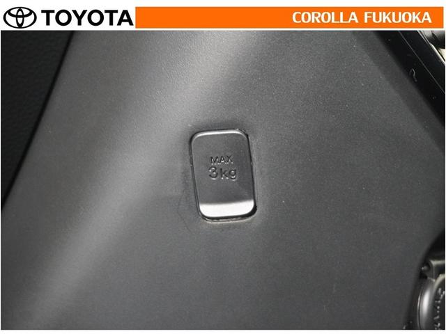 ルーミー カスタムＧ－Ｔ　衝突被害軽減システム　両側電動スライド　フルセグ　ＥＴＣ　バックカメラ　ドラレコ　キーレス　スマートキー　アイドリングストップ　盗難防止装置（30枚目）