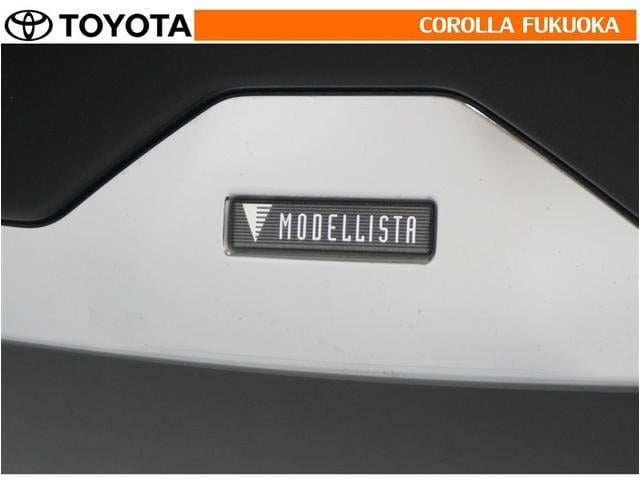 アルファード ２．５Ｓ　Ｃパッケージ　衝突被害軽減システム　両側電動スライド　フルセグ　ＥＴＣ　バックカメラ　ドラレコ　後席モニター　キーレス　スマートキー　盗難防止装置（35枚目）